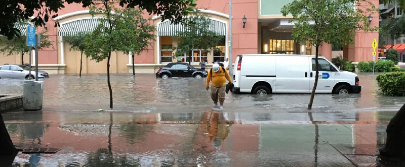 downtown miami roadway flooded with man crossing street